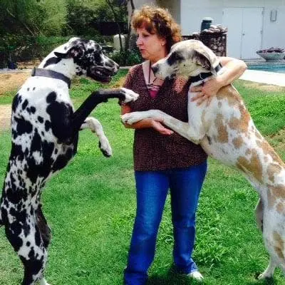 A woman hugging two Great Danes as they stand on their hind legs representing pet care jobs at TLC… While You're Away