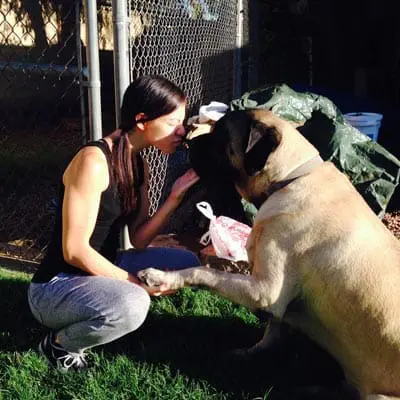 A woman crowching down, kissing a big brown dog representing pet care jobs at TLC… While You're Away